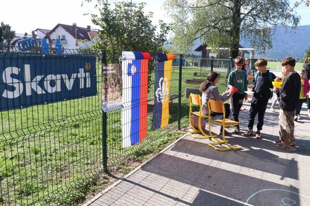 VETER V LASEH 11 FOTO LJUBO VUKELIČ